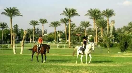 Sakkara Country Club Hotel El Hawamdeya Bagian luar foto