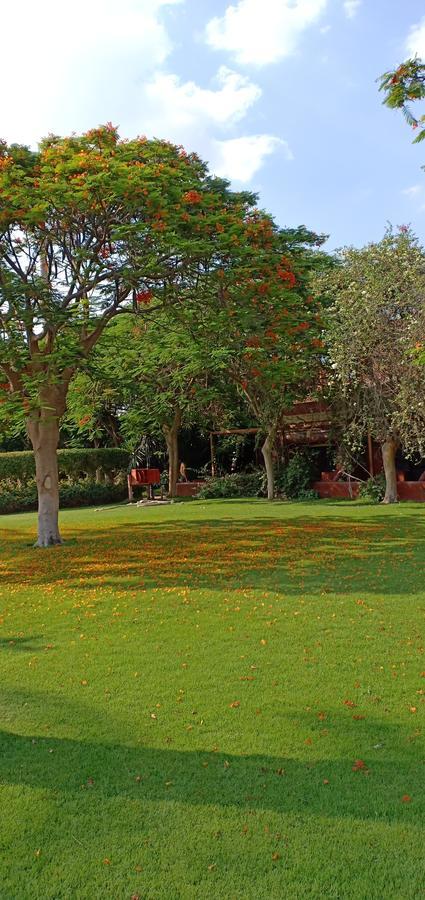 Sakkara Country Club Hotel El Hawamdeya Bagian luar foto